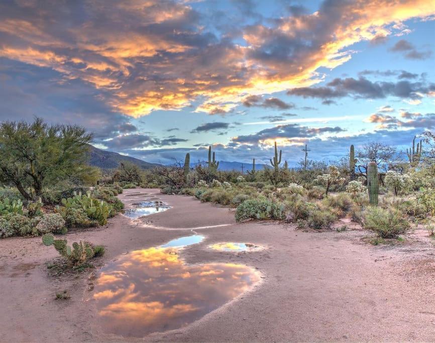 Silver Spur Homestead Luxury Glamping -the Miner Luxury tent Tombstone