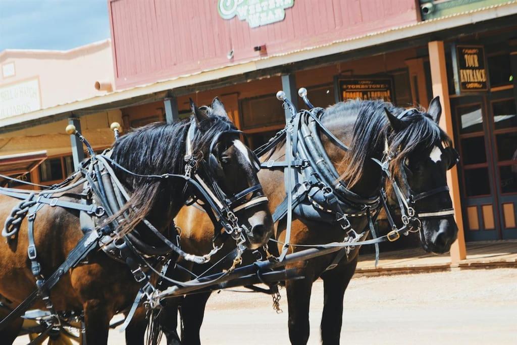 Silver Spur Homestead Luxury Glamping -the Miner *